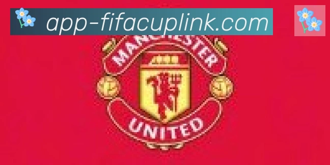 FIFA世界杯APP下载合作伙伴